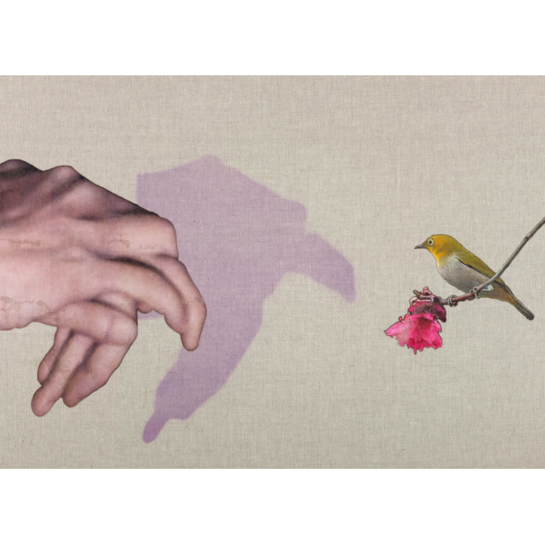 Theatre of the Century:Animal Portrait(Brid No.4)