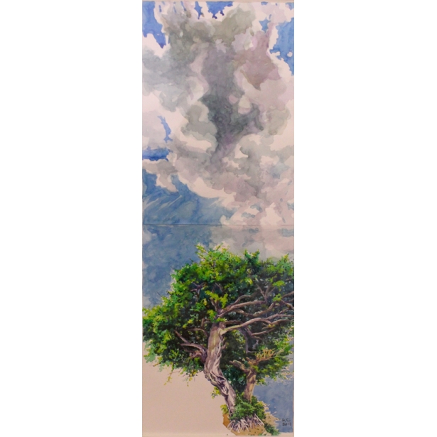 雲下的樹（NO.034-003）