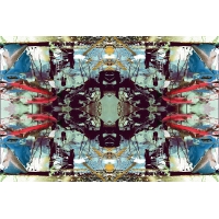 蟲洞 Wormhole（NO.Y-027-003）