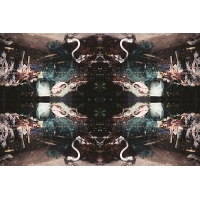 暗物質/地獄 Dark matter/inferno（NO.Y-027-001）