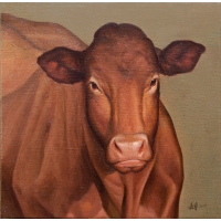 牛的肖像2（NO.016-020）
